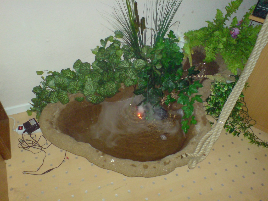 Pärrchen wasser agamen - Echsen - Dortmund