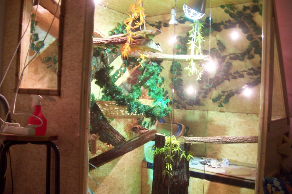 Großraum Terrarium doppelwandig - Terrarien - Rheinberg