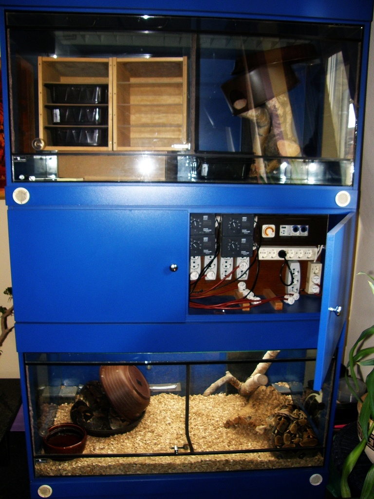 Terrarienanlage zu Verkaufen - Terrarien - 60528