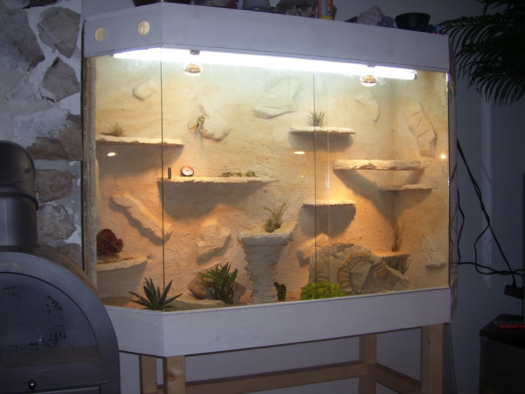 Neue Terrarien Saugünstig - Terrarien - Erlangen