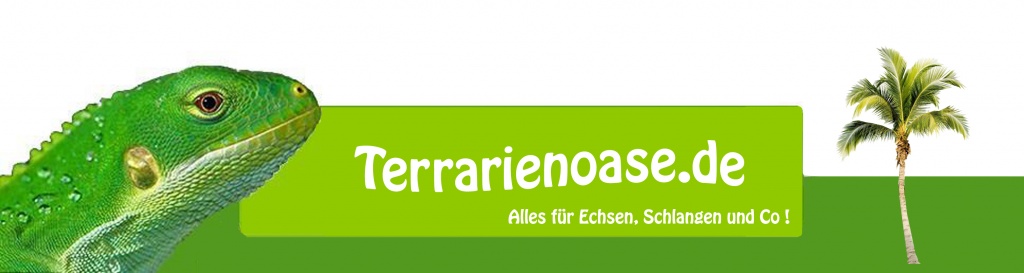 Terrarienoase - Terrarien - Tacherting