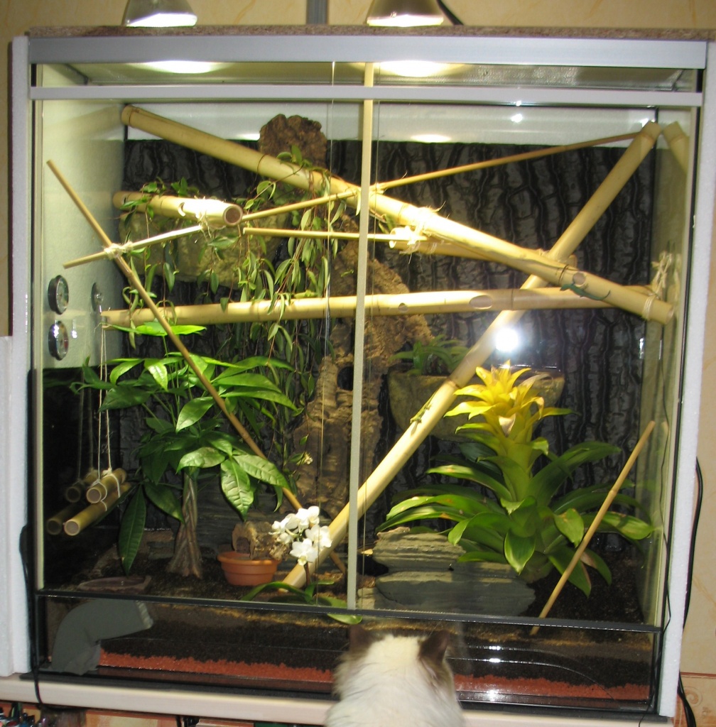 Verkaufe Terrarium - Terrarien - Wölfersheim