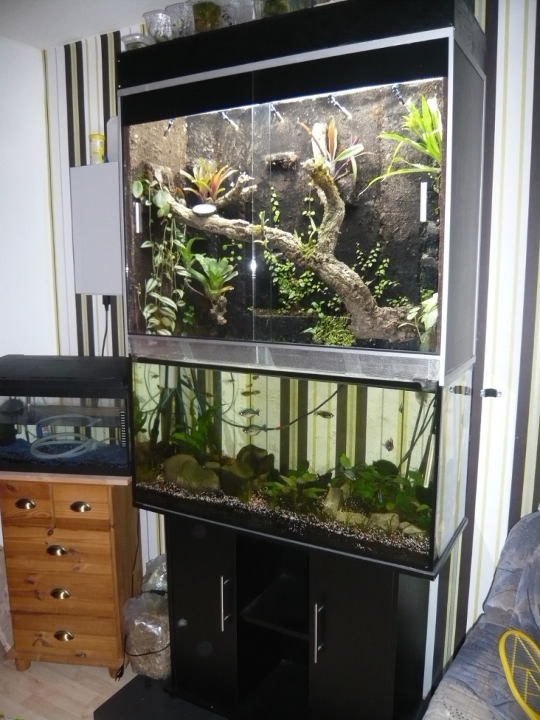 Verkaufe Aquaterrarium ( Paludarium ) - Terrarien - Rosdorf