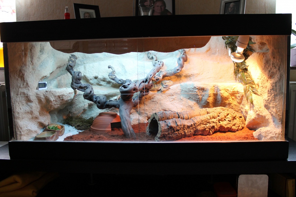 Holzterrarium mit 3D Rück-u. Seitenwänden in Felsoptik 1,20x60x60 fast neu - Terrarien - Bassum