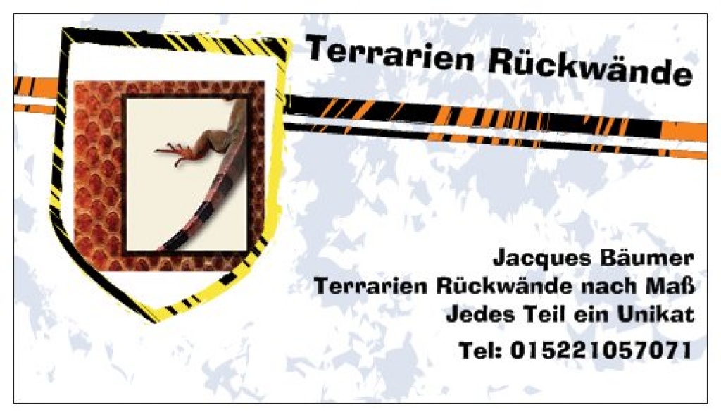 Terrarien nach Maß + 3D Rückwände nach Maß + Terrarium komplett - Terrarien - Neukirchen