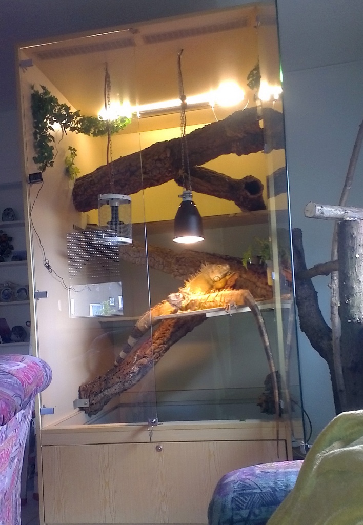 Suche Baumaterial für ein neues Terrarium - Terrarien - Backnang