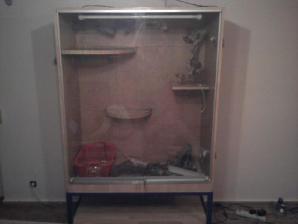 Gr Terrarium - Terrarien - Pattensen