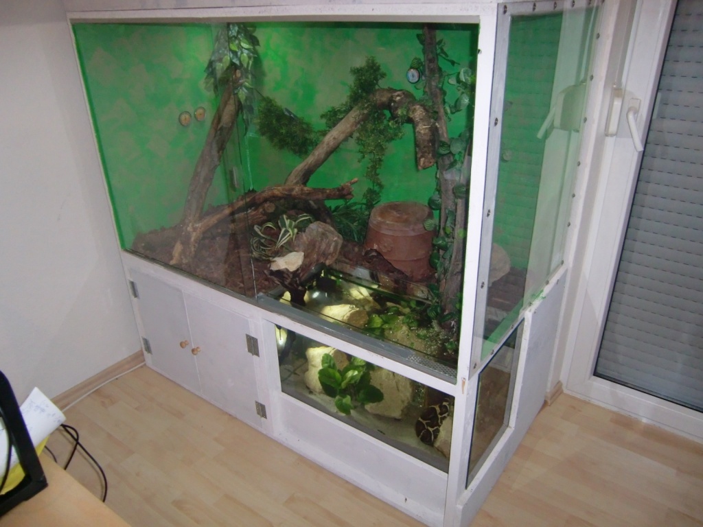 Einzigartiges Terrrarium mit Aquarium - Terrarien - Neustadt an der Donau