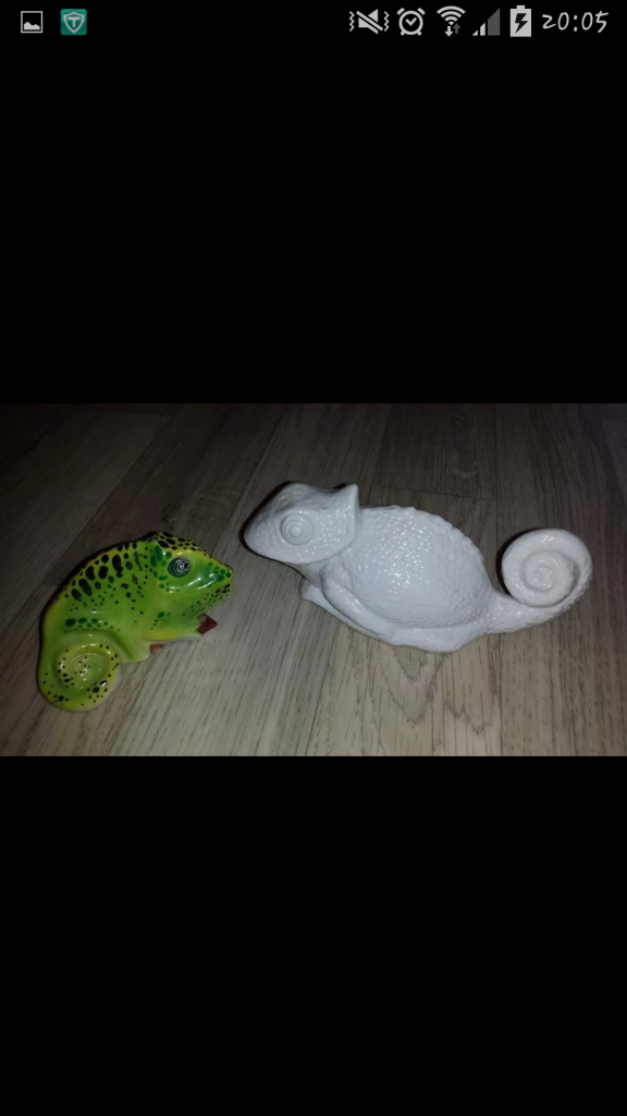 Suchen in Potsdam,oder nähere Umgebung Chamelion - Chamaeleon - Potsdam