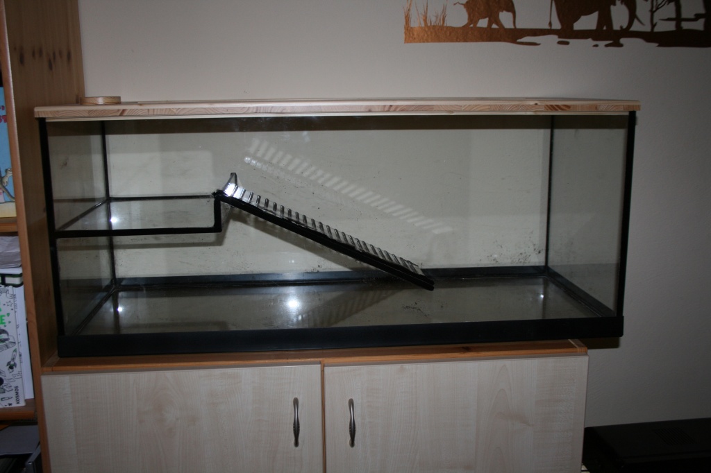 Schildkrötenbecken, Aquaterrarium - Terrarien - Dresden