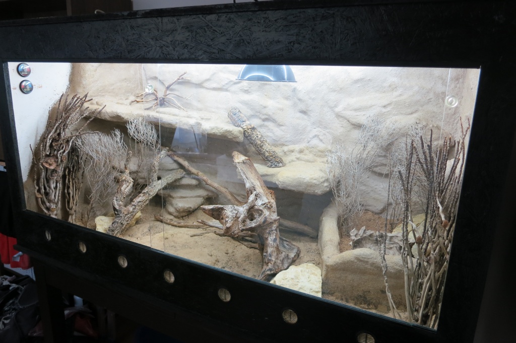 OSB Wüstenterrarium 155x75x80 (lxbxh) - Terrarien - Zeihen
