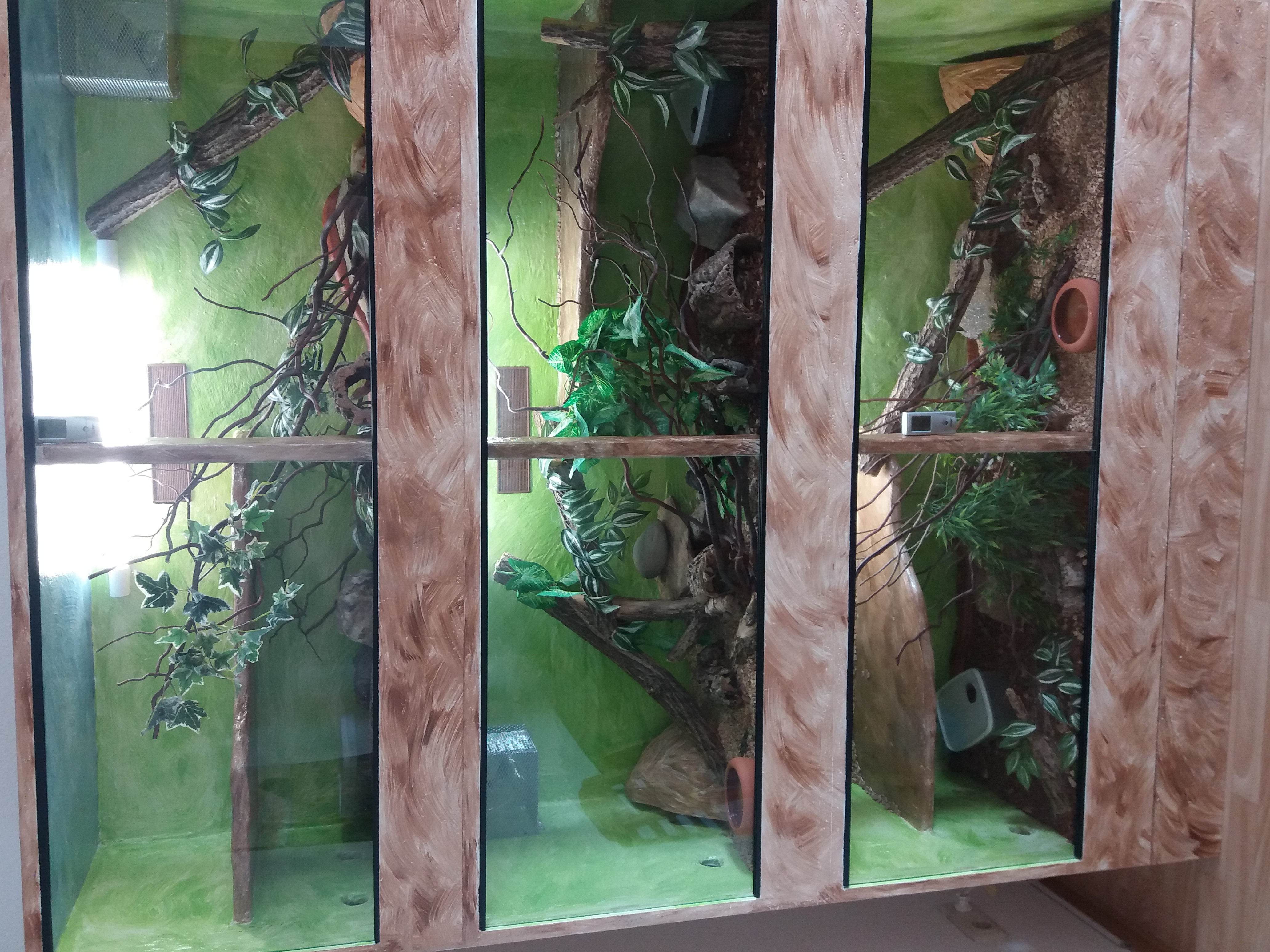 Verkaufe Terrarium mit Kornnatter und Zubehör. - Schlangen - Dresden