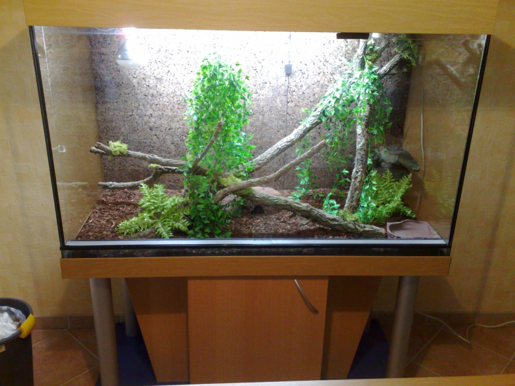 Exclusives Terrarium komplett eingerichtet abzugeben ! - Leguan - Duisburg