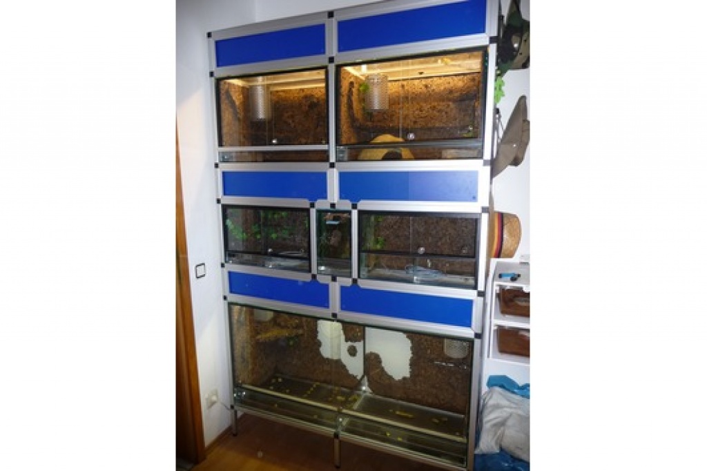 Stecksystem ink. Terrarien - Terrarien - 47533 kleve