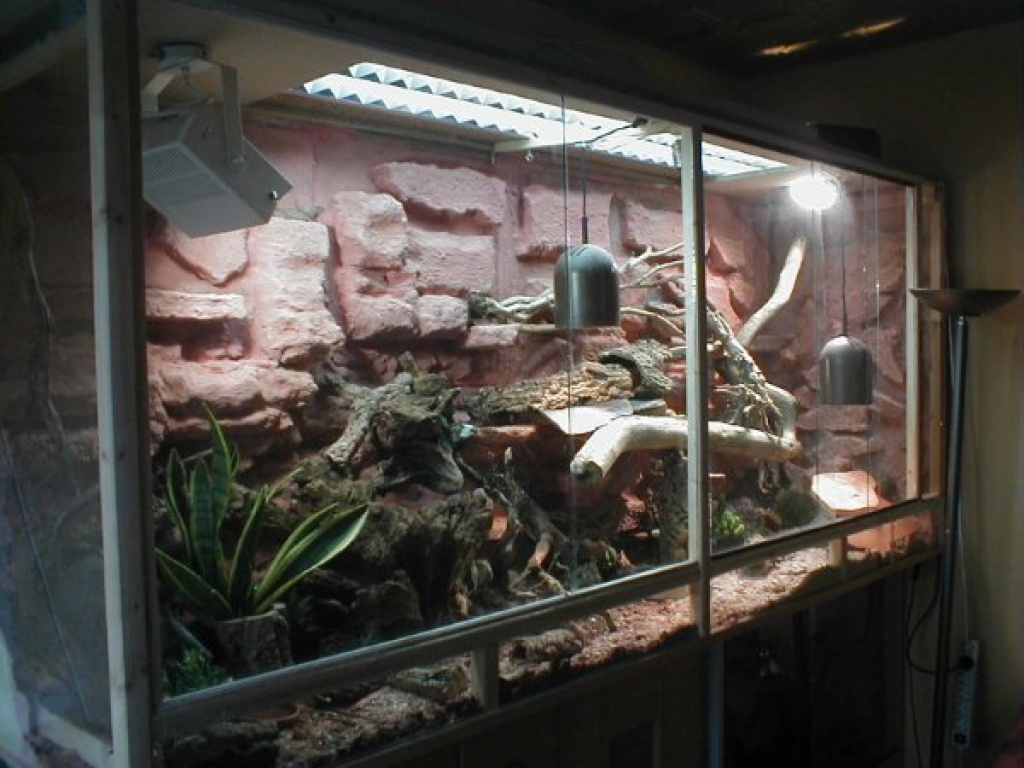 Terrarium 240x80x100 (LxTxH) - Terrarien - Lüdenscheid