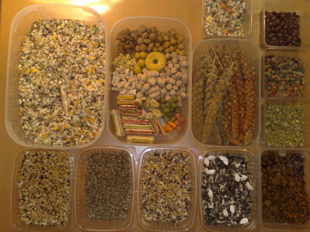 Gesunde, perfekt ernährte Futtermäuse (keine Pellets u.Makrolonbox Haltung) Sond - Schlangen - Berlin
