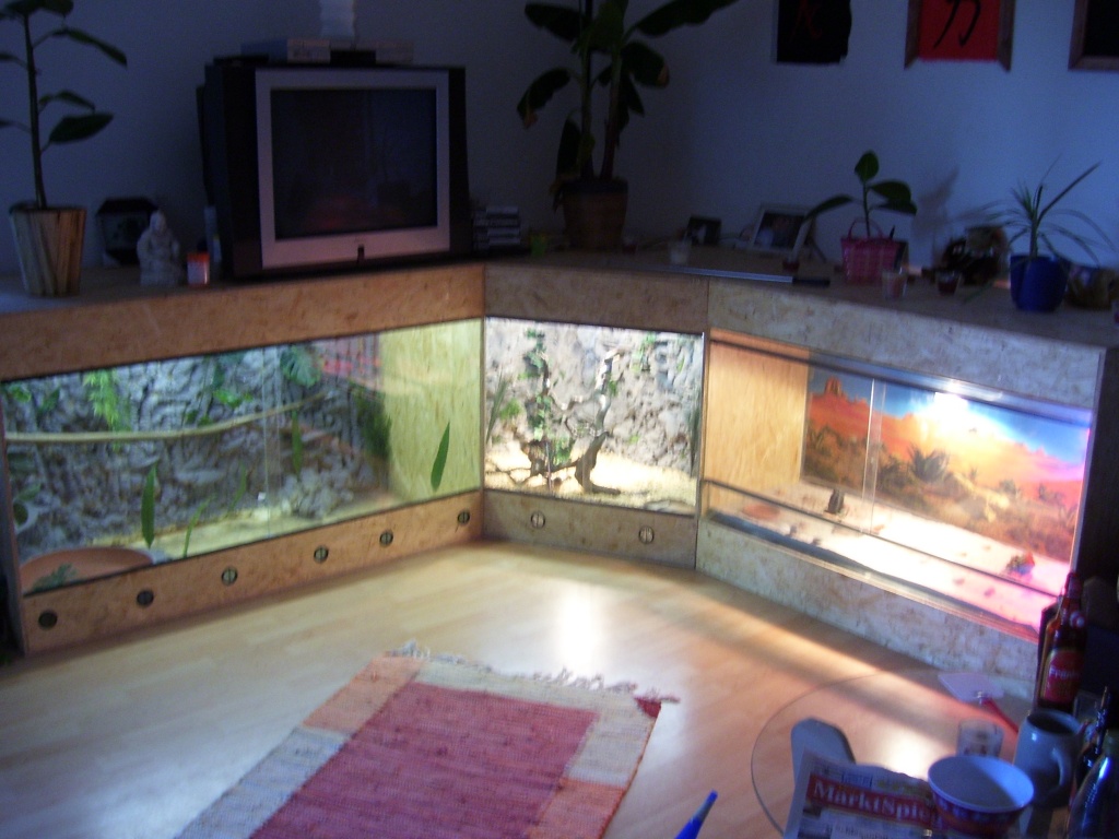 Neu Angefertigte Terrarien günstiger als gebraucht - Terrarien - Erlangen