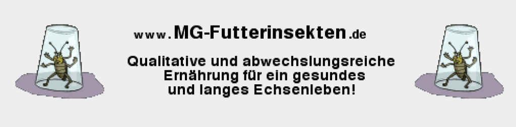 Futterinsekten, Futtertiere, Heuschrecken, Heimchen, Grillen uvm. - Futtertiere - Neumarkt in der Oberpfalz