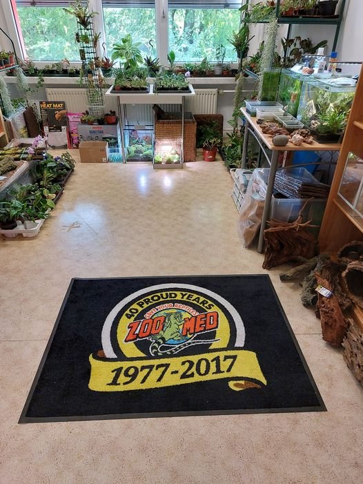 Zubehör, Pflanzen, Futtertiere, Terrarien... - Sonstige Reptilien - Erfurt