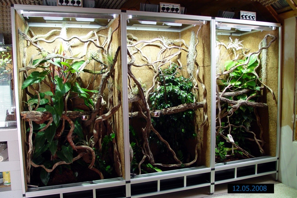 Verkaufe bis zu 3 Terrarien - Terrarien - Neuler