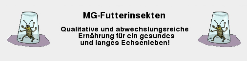 Futterinsekten / Futtertiere - Sonstige Reptilien - Neumarkt in der Oberpfalz