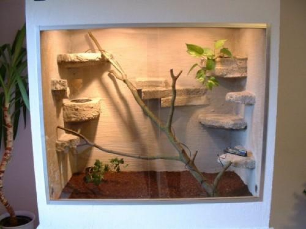 Terrarien-Bau, auch nach Ihren Wünschen - Terrarien - Neunkirchen