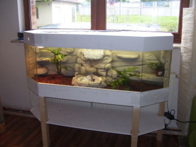 Terrarienbau mal anders- Für den kleinen Geldbeutel - Sonstige Reptilien - Erlangen