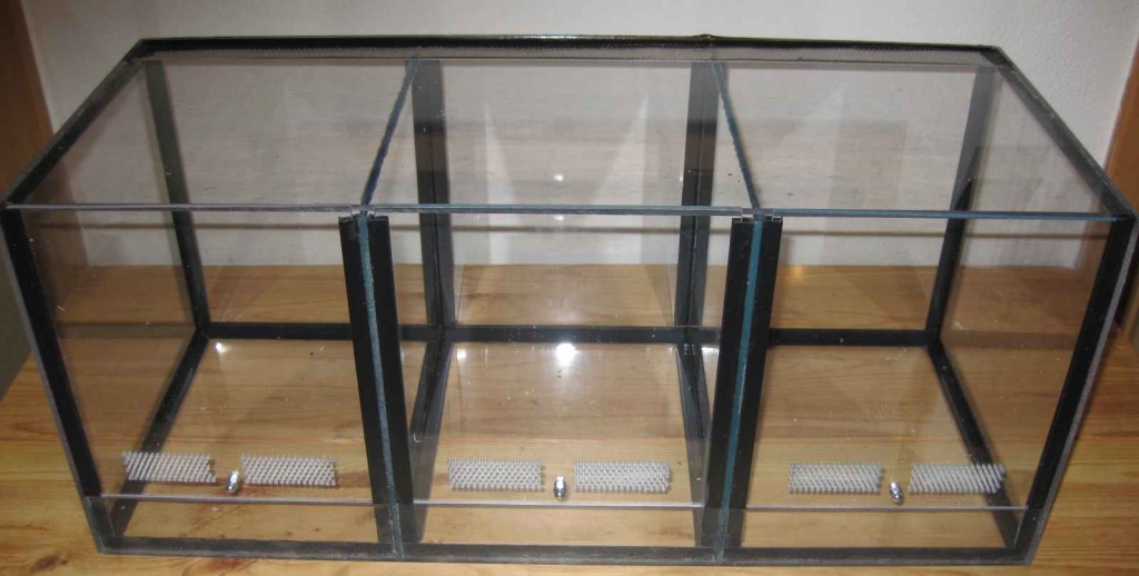 3er-Blockterrarium - Terrarien - Neukirchen Erzgebirge