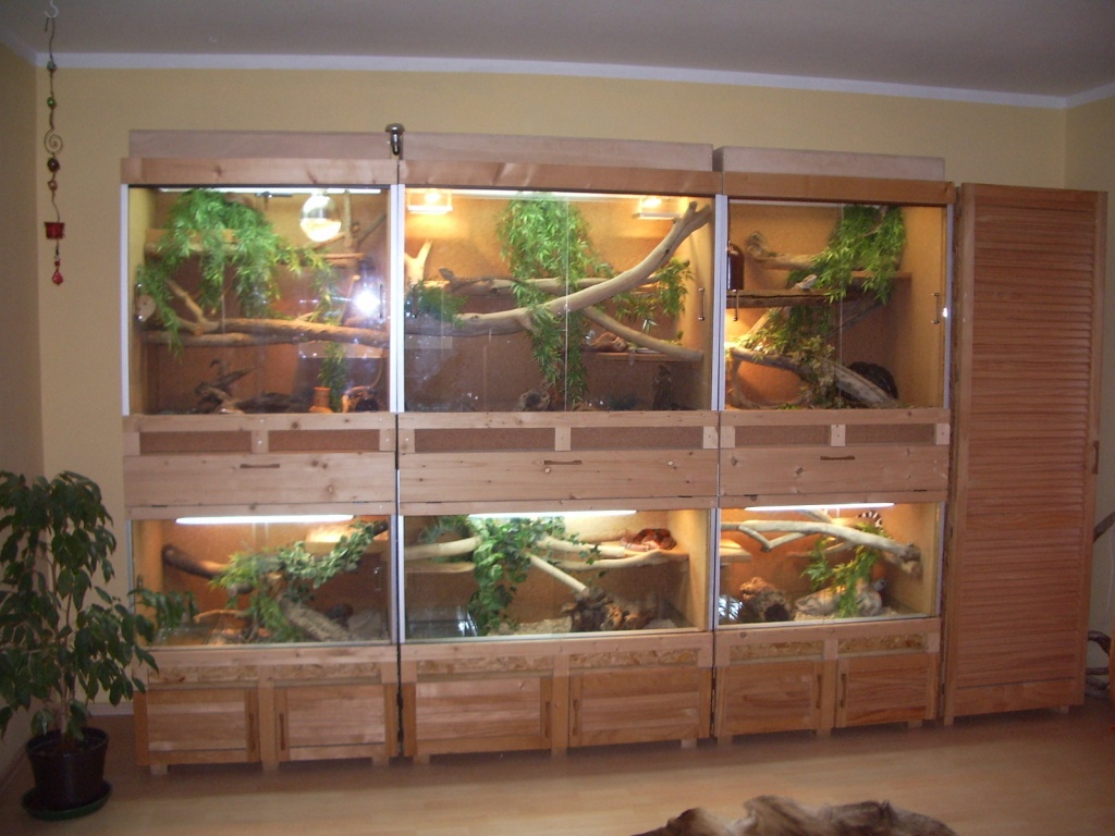 Terrarienwand/Terrarium zu verkaufen! - Sonstige Reptilien - Leutkirch im Allgäu
