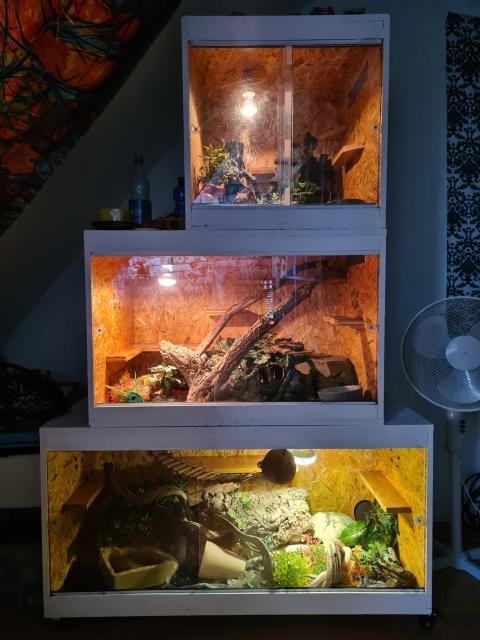 Terrarium und Zubehör - Schlangen Natter - Marburg