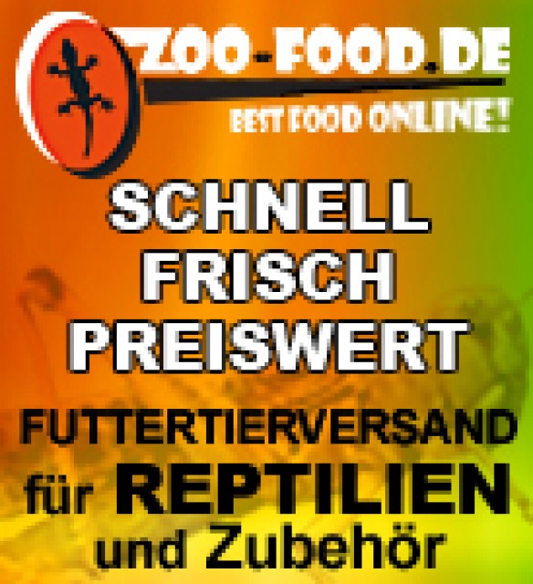 Lebendfutter für Reptilien im Versand - Sonstige Reptilien - Thüngen