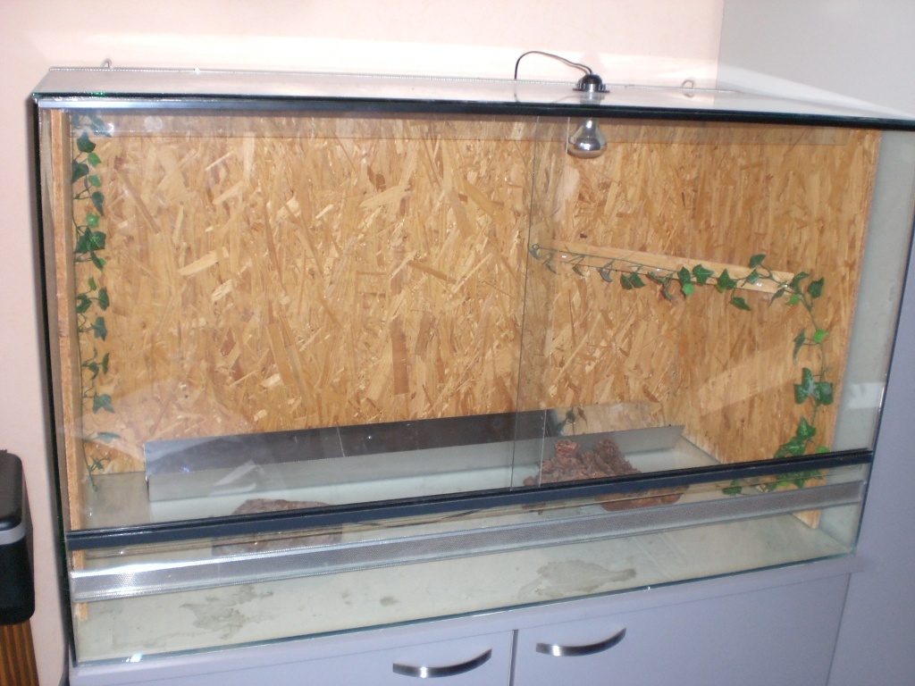 Terrarium (120cm x 60 cm x 70 cm) mit passendem grauen Unterschrank! - Terrarien - Harsewinkel