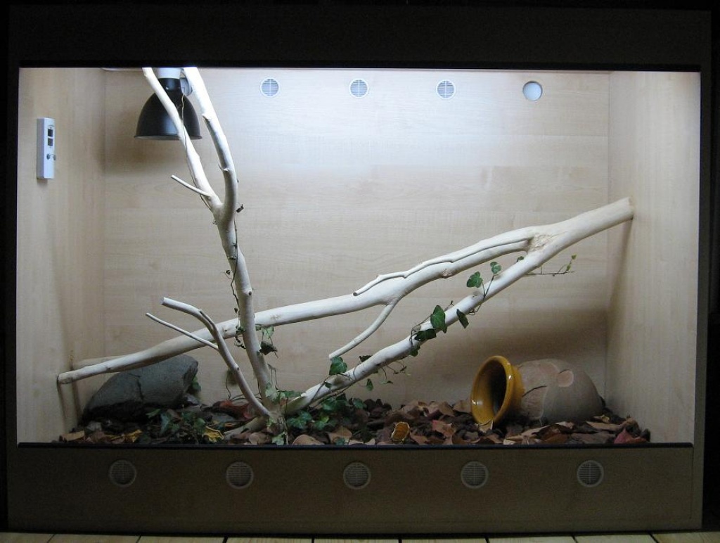 TERRARIUM 120x90x70 in Ahorn-Optik zu verkaufen - Sonstige Reptilien - Darmstadt