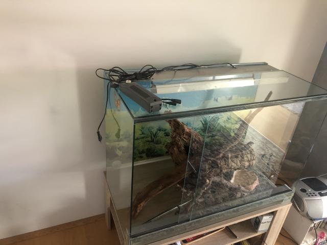 Terrarium 100x50x65(LxBxH) - Terrarien - Mainz