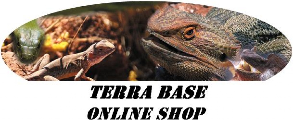 Spezial zum Jahresende! Mit jeder menge Prozenten! - Sonstige Reptilien - Bielefeld