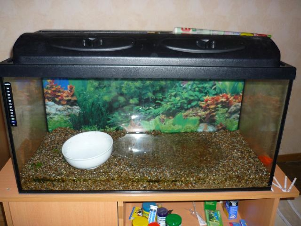 Terrarium 80x35x40 mit Abdeckung - Terrarien - Siegen
