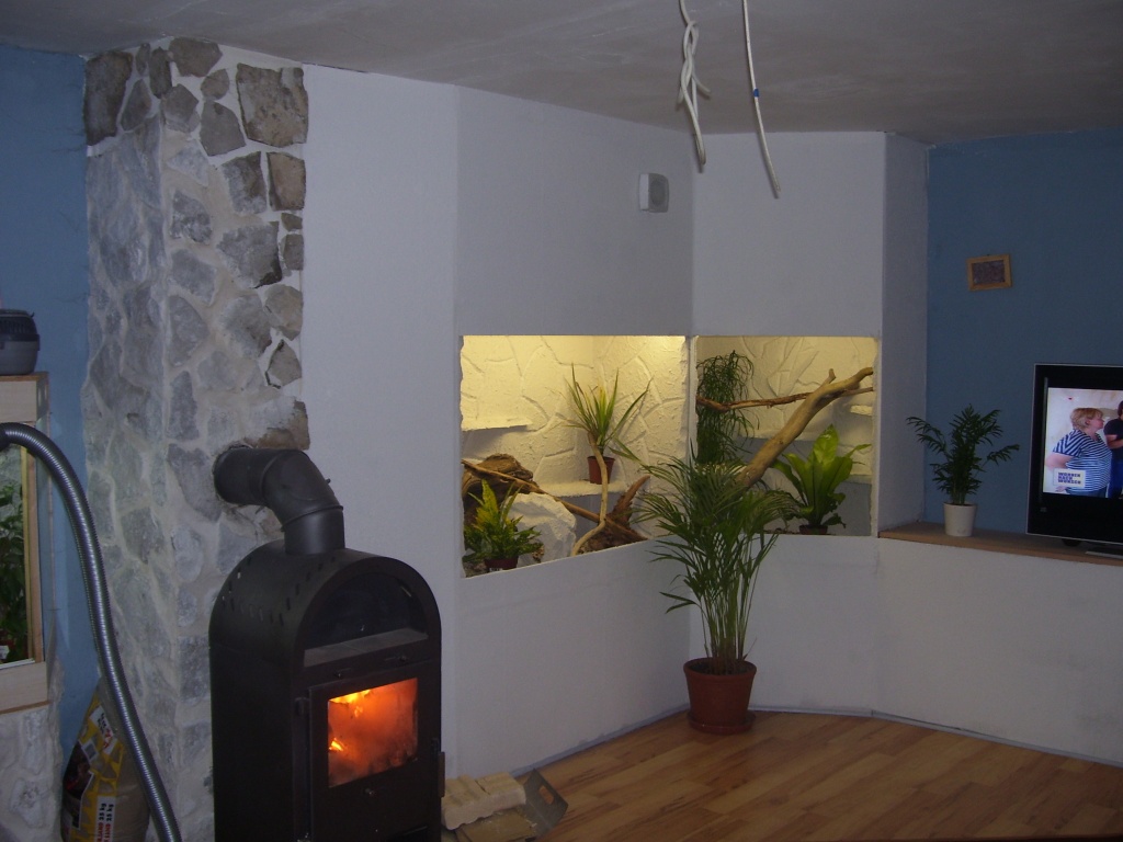 Neue Terrarien günstiger als gebrauchte - Terrarien - Erlangen