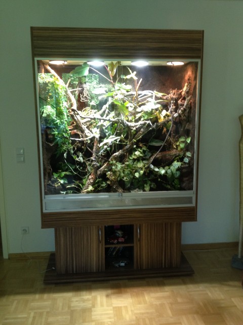 Regenwald-Terrarium für Chamäleon BJ 10/2011 - Terrarien - Osnabrück