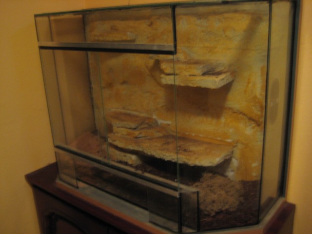 Design-Wüstenterrarium mit Rückwand 97 (B) x 69 (H) x 40 (T) cm - Terrarien - Losheim am See