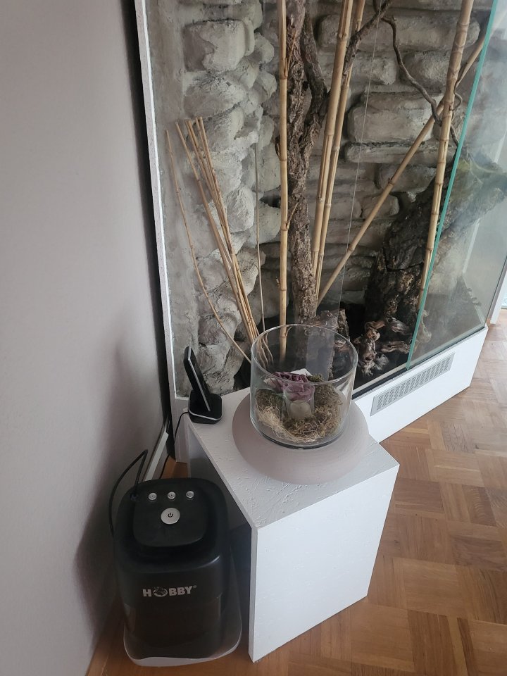 Eckterrarium  mit Zubehör - Chamaeleon - Essen