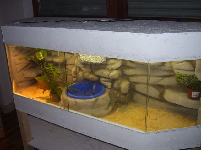 Terrarienbau nach Wunsch und Maß - Terrarien - Erlangen