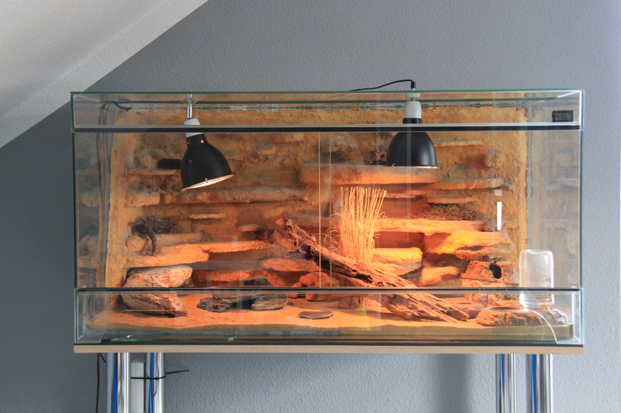 Wunderschönes Terrarium für Geckos mit Zubehör - Terrarien - Frankfurt am Main