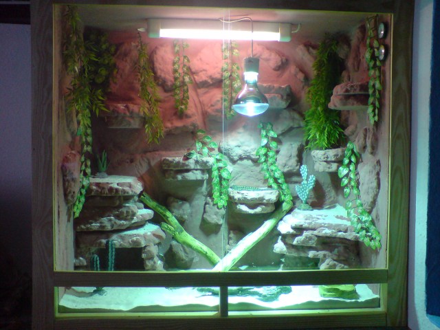 Verkaufe Terrarium mit zubehör und gecko - Leguan - Eberswalde