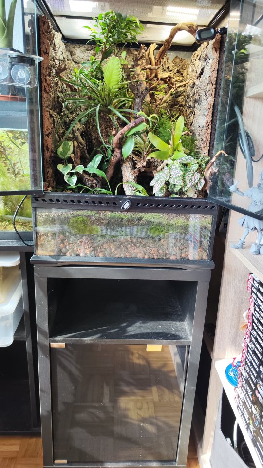 Terrarium Exoterra mit Unterschrank - Sonstige Reptilien - Villingen-Schwenningen