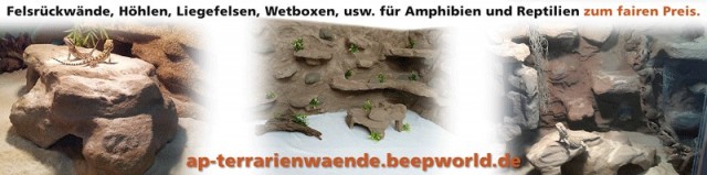 Terrarien, Felsrückwände, Höhlen .. zu TOP Preisen. Individuelle Gestaltung!  - Terrarien - Warburg
