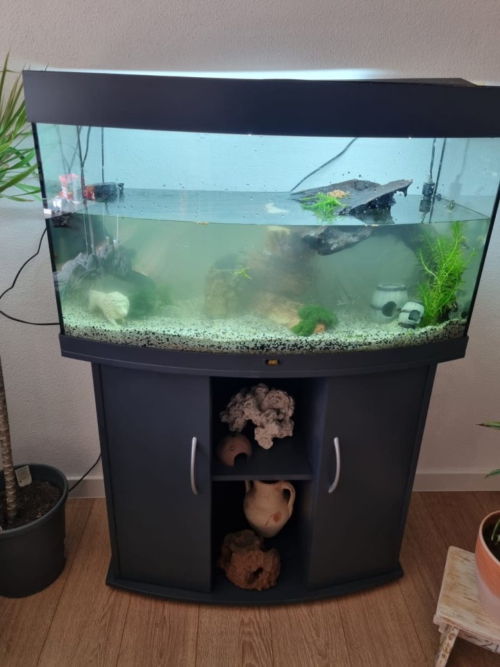 Wasserschildkröten mit Aquarium und Zubehör - Schildkroeten - Kirchheim am Ries