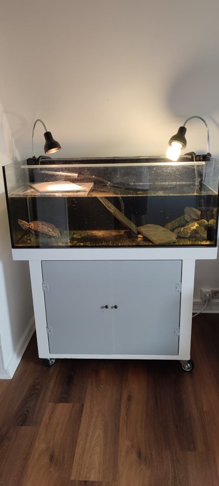 Chinesische Dreikielschildkröte mit Aquarium + Unterschrank, Zubehör uvm. abzuge - Schildkroeten - Gütersloh