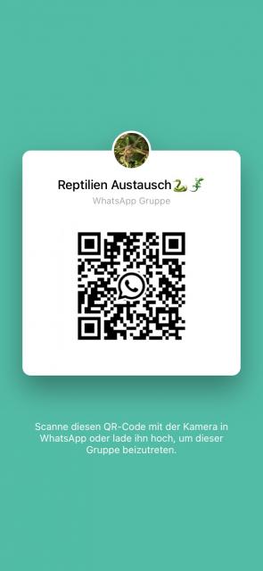 Reptilien WhatsApp Gruppe  - Sonstige Reptilien - Saarwellingen