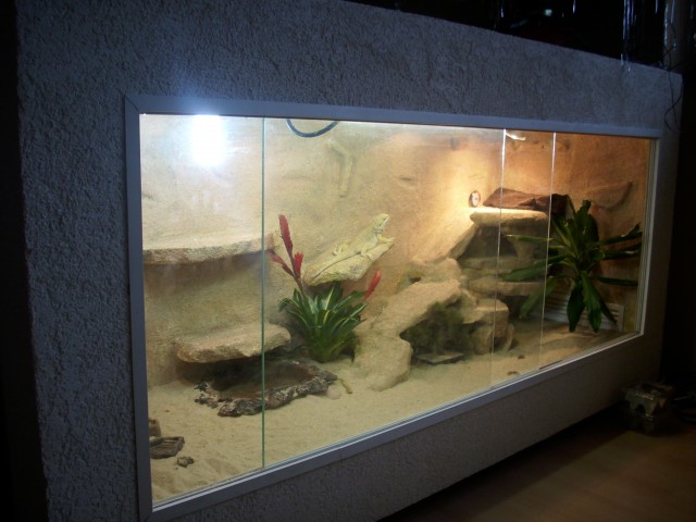 Biete Terrarium kompletter eigenbau mit gelben handzahmen männchen 1,8m mal 0,7 - Terrarien - Bad liebenwerda