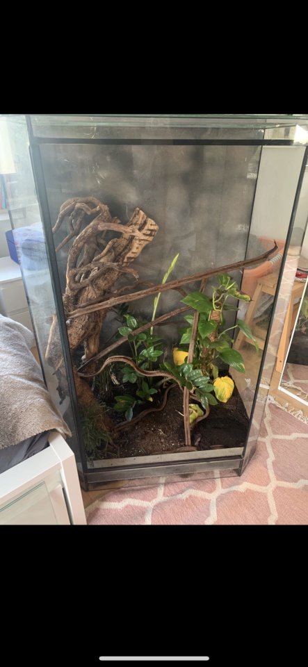 Terrarium für Echsen,Chamäleon etc - Echsen - Bergisch Gladbach